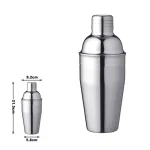 Stainless steel shaker
