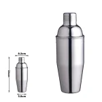 Stainless steel shaker